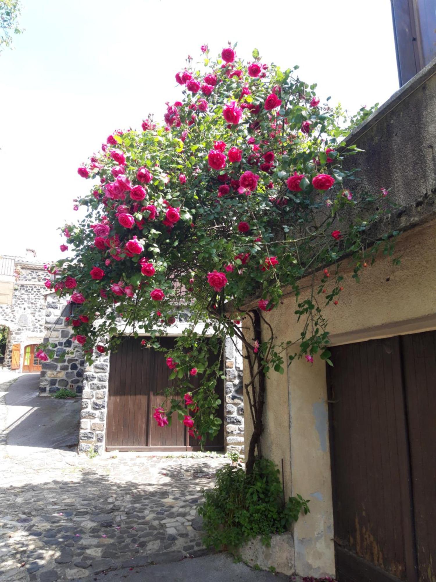 L'Ardetente Lussas Exterior photo